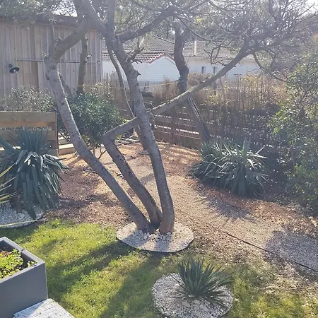 Coucher De Soleil Ocean Montalivet Vensac