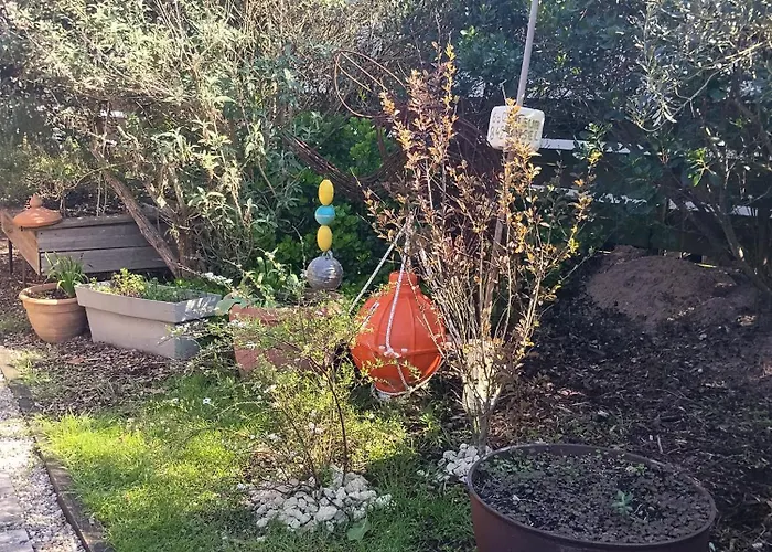 Appartement Coucher De Soleil Ocean Montalivet *